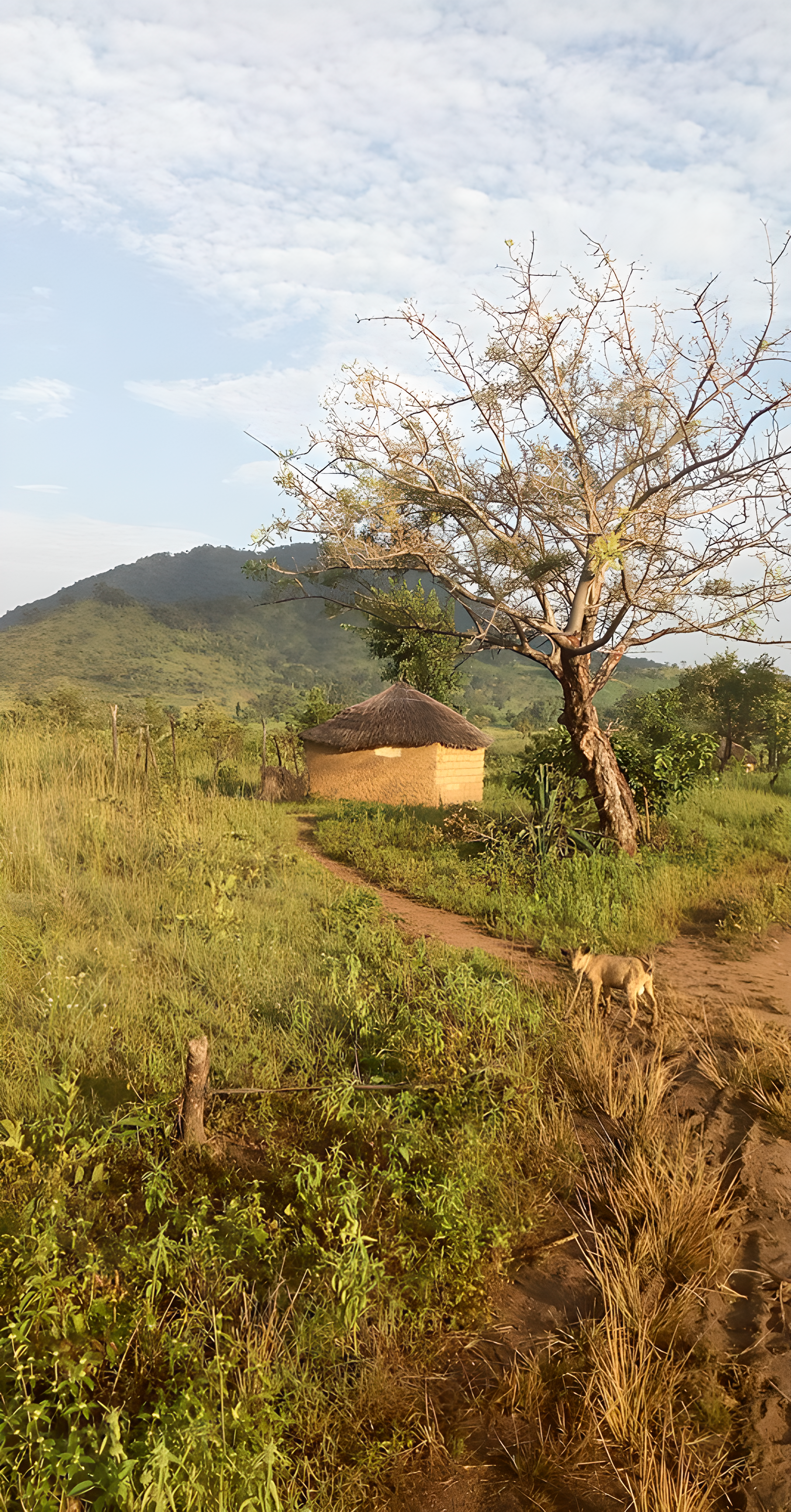 Montagne de Poli - Miniature 3